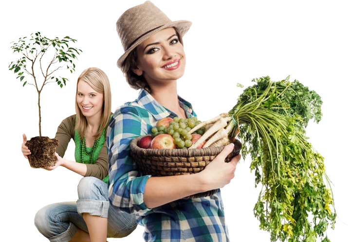 Берете у нас — будет у вас